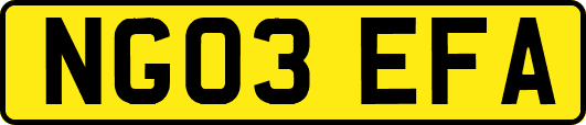 NG03EFA