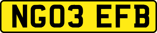 NG03EFB
