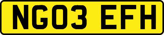 NG03EFH