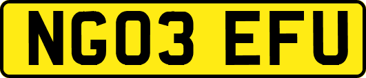 NG03EFU