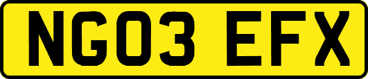 NG03EFX