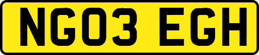NG03EGH