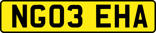 NG03EHA
