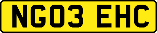 NG03EHC