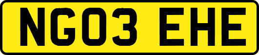 NG03EHE