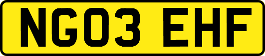 NG03EHF