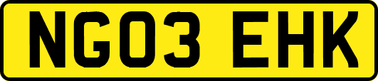 NG03EHK