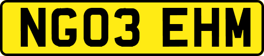 NG03EHM