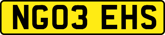 NG03EHS