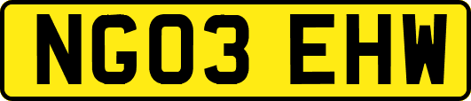 NG03EHW