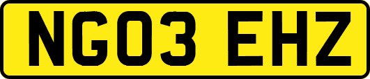NG03EHZ