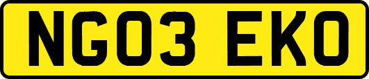 NG03EKO