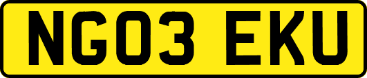 NG03EKU