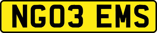 NG03EMS
