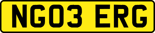 NG03ERG