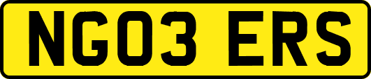 NG03ERS