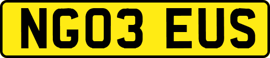 NG03EUS