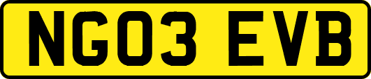 NG03EVB