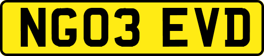 NG03EVD
