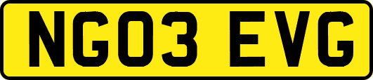 NG03EVG