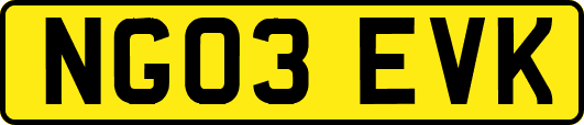 NG03EVK