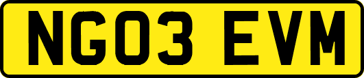 NG03EVM