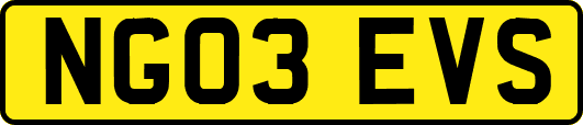 NG03EVS