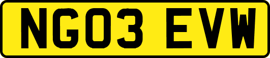 NG03EVW