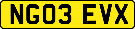 NG03EVX