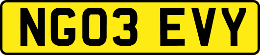 NG03EVY