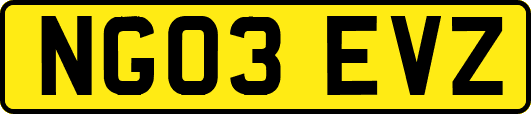 NG03EVZ