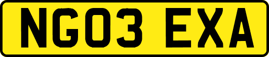 NG03EXA