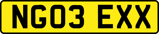 NG03EXX