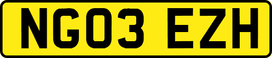 NG03EZH