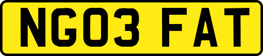 NG03FAT