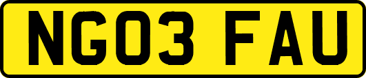 NG03FAU