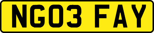 NG03FAY