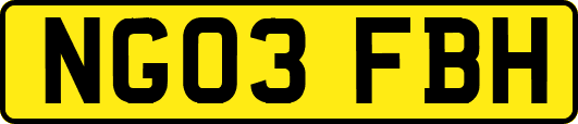 NG03FBH