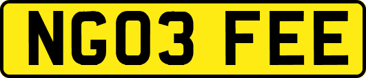NG03FEE