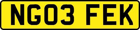 NG03FEK