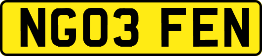 NG03FEN