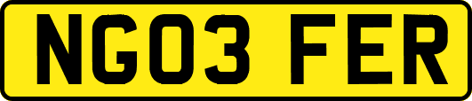 NG03FER