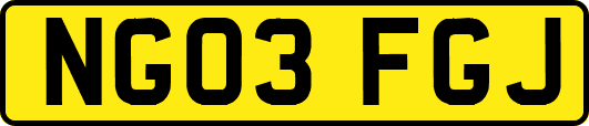 NG03FGJ
