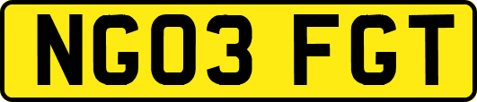 NG03FGT