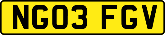 NG03FGV