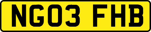 NG03FHB