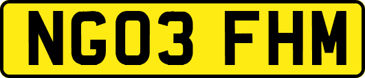NG03FHM