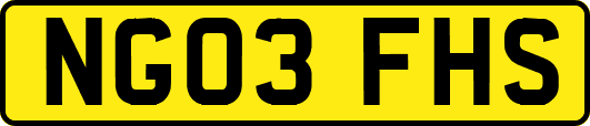 NG03FHS