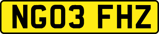 NG03FHZ
