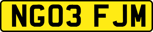 NG03FJM